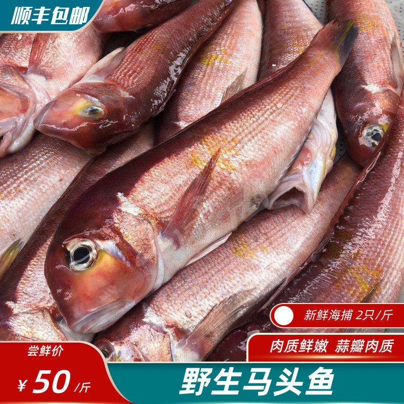 【山予海】深海马头鱼  海捕海鲜方头鱼斧头鱼 甘鲷鱼