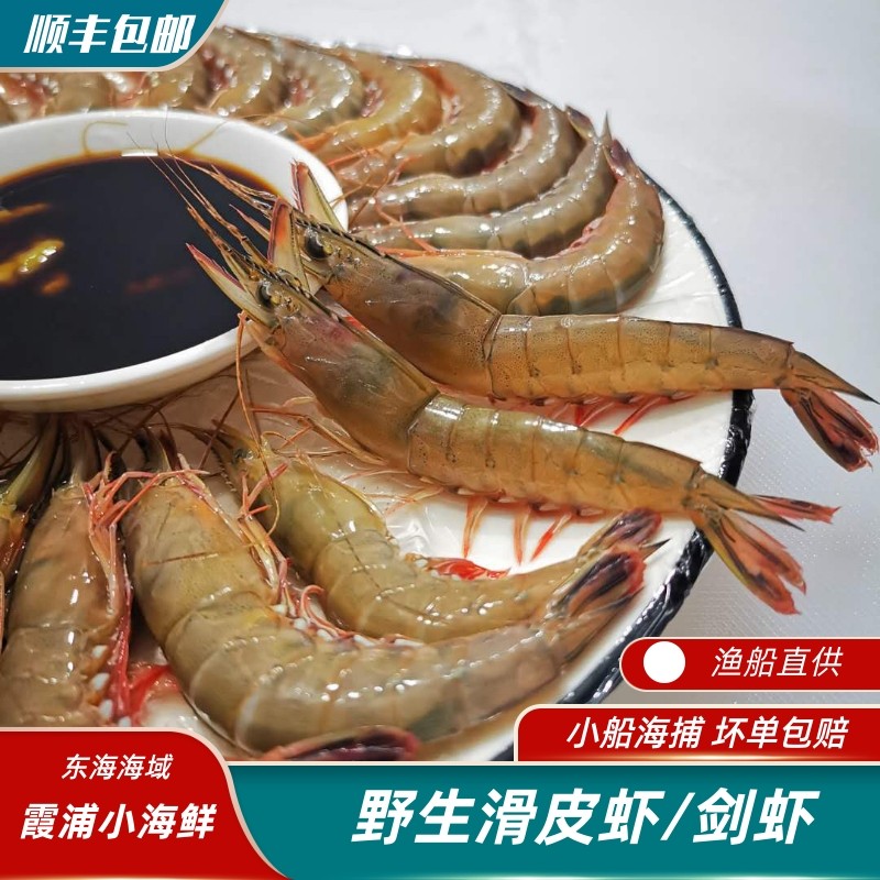 东海野生滑皮虾  65-70只/斤 青壳虾鲜活海鲜 硬壳虾 剑虾,水产肉类/新鲜蔬果/熟食,冻虾,淘宝优惠券,粉丝福利购,淘宝优惠卷