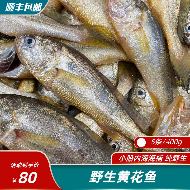 东海黄花鱼（5条/400g规格） 黄瓜鱼 小黄鱼霞浦天然海鲜宝宝辅食