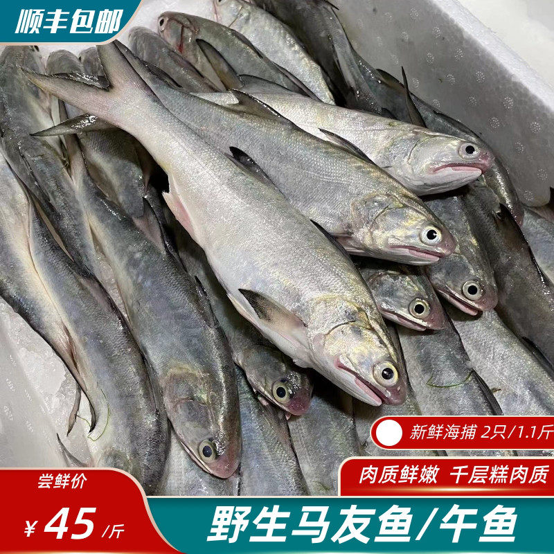 马友鱼 午鱼5-7两/条 午笋鱼 章跳 东海海捕 主骨一根千层糕肉质