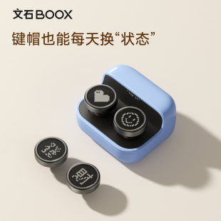 文石BOOX 原装蓝牙翻页器遥控器 文石阅读器专用