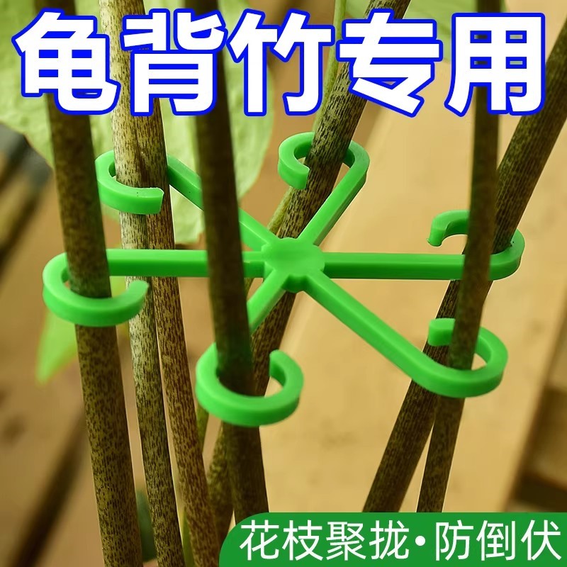 龟背竹固定器支撑防倒伏春羽支架枝干收拢花盆架花卉扶正花枝聚拢