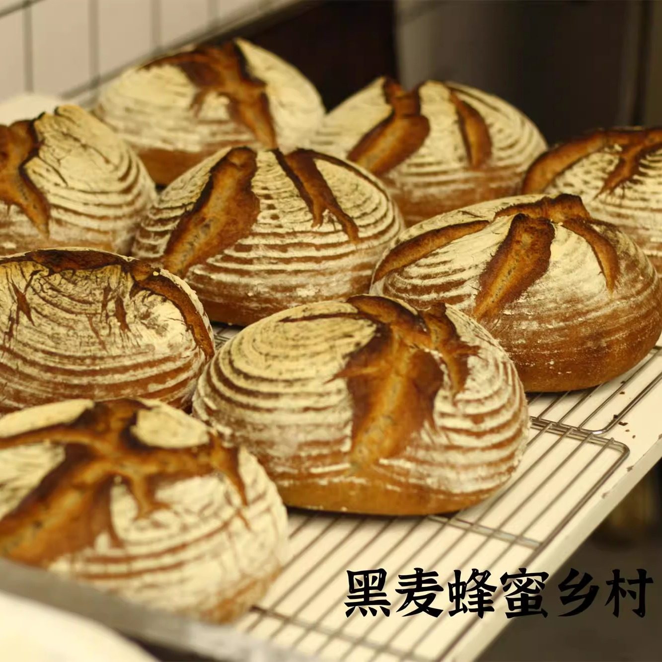 黑麦乡村硬欧包 天然酵母裸麦面包低G无加油脂健身主食代餐面包卡