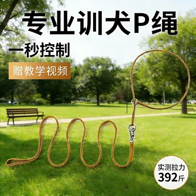 中大型犬比赛p绳遛狗训犬绳加粗防爆冲训练宠物狗狗牵引绳p链子