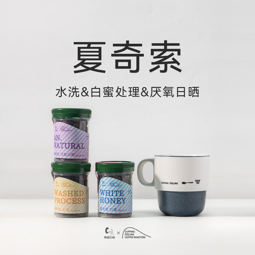 隔壁工坊 & cupfeel. coffee roasters 夏奇索联名手冲咖啡豆