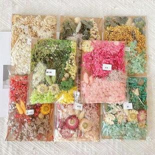 永生花干花材料包DIY相框贴花团扇浮游团建活动花艺课手工材料包