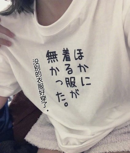 短袖文艺男女印花没别的衣服好穿