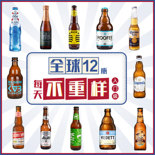 全球甄选精酿啤酒12瓶组合套餐国产进口世涛 艾尔 科罗娜啤酒 IPA