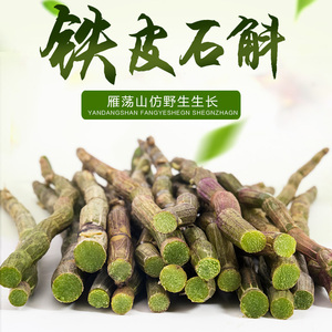 乐清雁荡山铁皮鲜条三年生新鲜仿铁皮枫斗半斤