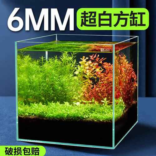 yee超白玻璃小型桌面生态方缸