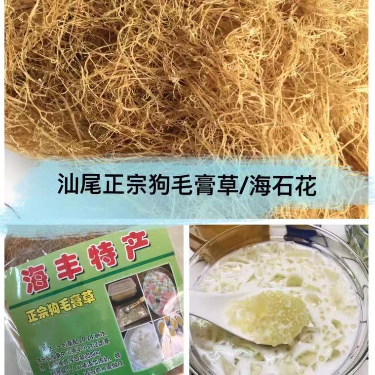 汕尾海陆丰特产狗毛膏草海石花膏九毛糕原料九毛糕草