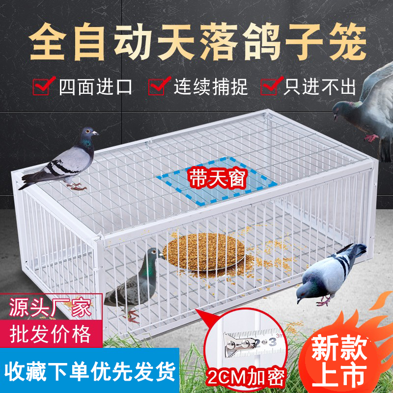 捕鸽神器 收抓鸽子笼自动天落户外加粗H围网逮信赛鸽笼逮鸽拍门网