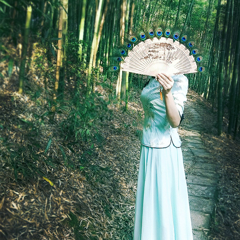 双面孔雀羽毛扇子挂墙装饰壁挂折扇古风古典扇走秀超大孔尾挂扇