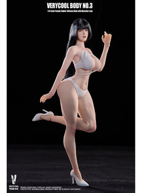 现货 VERYCOOL 1/6 丰满体型铂金硅胶 VCD-03ABC 女素体