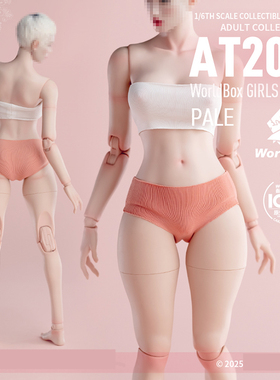 预售定金 Worldbox 1/6  肥腿升级版亲姐姐 AT202pro  可动女素体