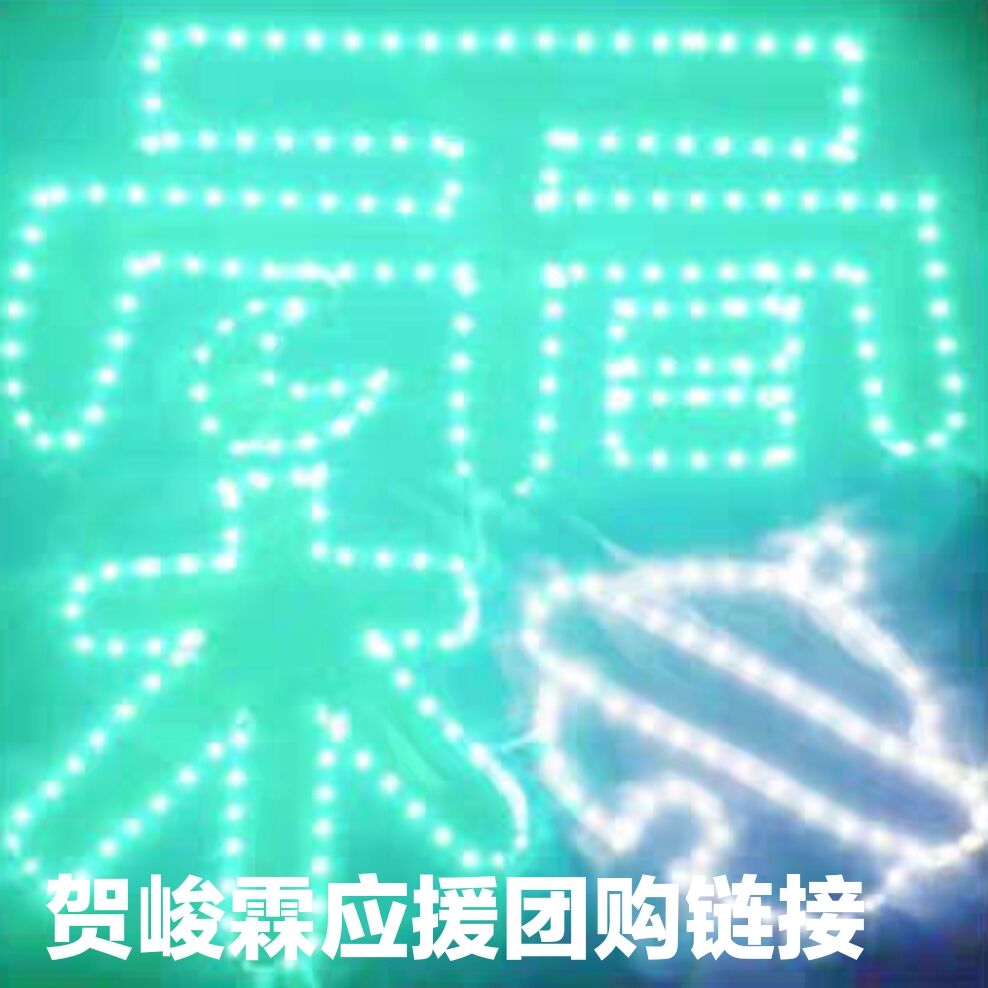 时代少年团贺峻霖演唱会应援羽纱布超薄灯牌发箍霖霖