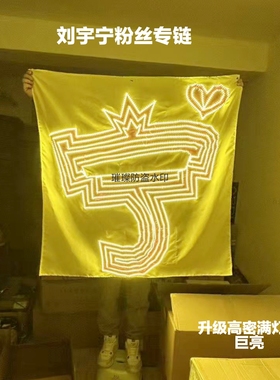 刘宇宁应援灯牌（限时活动）超薄贴片头戴胸牌相机灯牌LED演唱会