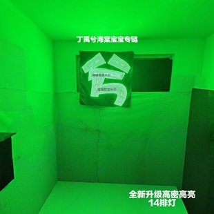 丁禹兮粉丝应援灯牌【限时活动】超薄软布团购演唱会音乐节跨年秀