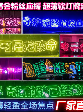 明星演唱会班牌马甲超薄纱遮光布软硬灯牌团扇灯旗头戴胸牌定制TF