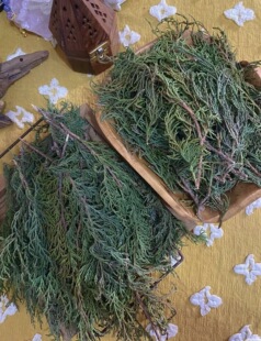 【正品】煨桑烟供火供新鲜藏香柏香枝香薰料柏香浓香型正宗藏香柏
