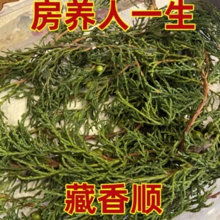 【特级】藏香柏师傅亲自采摘请下山天然植物香薰净化空气养磁场