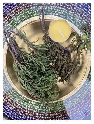 新鲜高原藏香柏香薰煨桑净化自然藏香藏香木