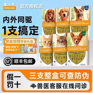 爱沃克狗狗驱虫幼犬猫咪体内外一体驱虫滴剂宠物猫耳螨跳蚤犬驱虫