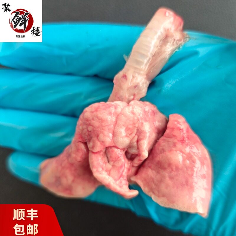 兔肺新鲜兔肺自制猫狗粮生食现杀兔肉可食用真空冷冻舒服呢包邮