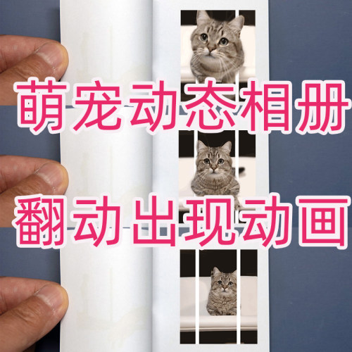 猫咪萌宠系列幼教趣味生日礼物动画益智玩具手翻书学生手办周边
