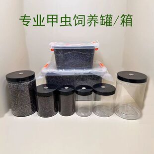 甲虫饲养罐独角仙成虫幼虫饲养盒大兜虫锹甲锹形虫爬宠昆虫饲养盒