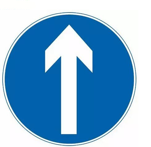 定制指示直行标志牌限速室外铝板