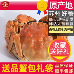 活蟹8只苏州大闸蟹遇见阳澄鲜活大螃蟹公蟹5两全母蟹4两大蟹礼盒