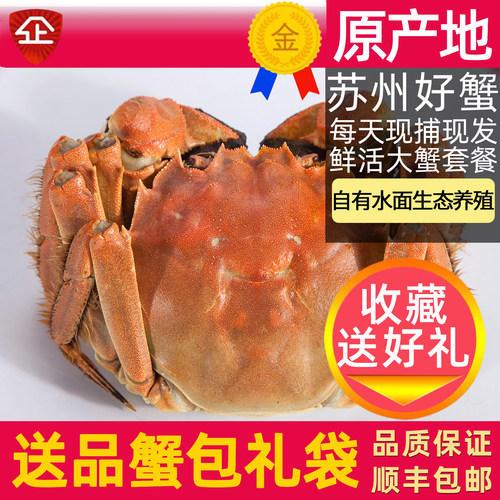 苏州大闸蟹鲜活大螃蟹生鲜礼盒装