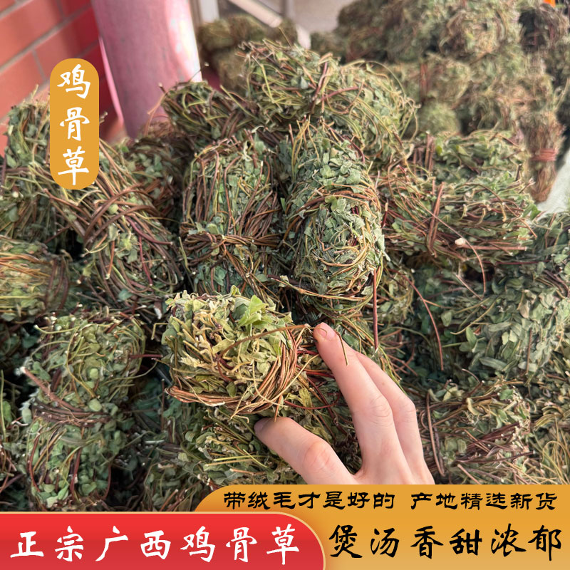 广西鸡骨草野生带叶鸡骨草茶新鲜无硫广式煲汤料鸡骨草茶泡水正品