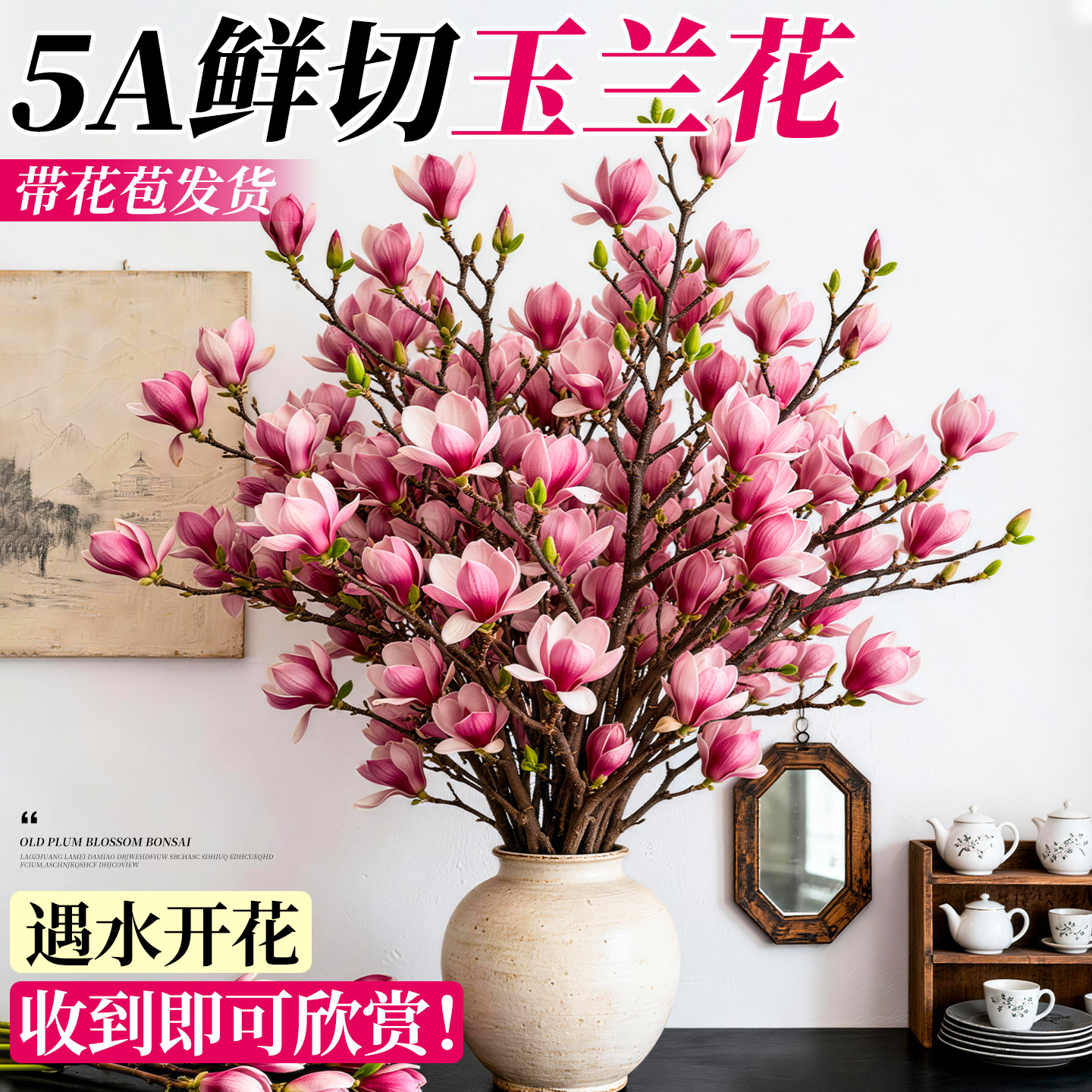 水培玉兰花植物带花苞室内好养四季耐寒冬季开花绿植鲜花家用插花,鲜花速递/花卉仿真/绿植园艺,红掌/凤梨/温室花卉,淘宝优惠券,粉丝福利购,淘宝优惠卷