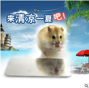 仓鼠金丝熊散热板冰凉魔板兔子降温房荷兰猪 消暑降温陶瓷冰板
