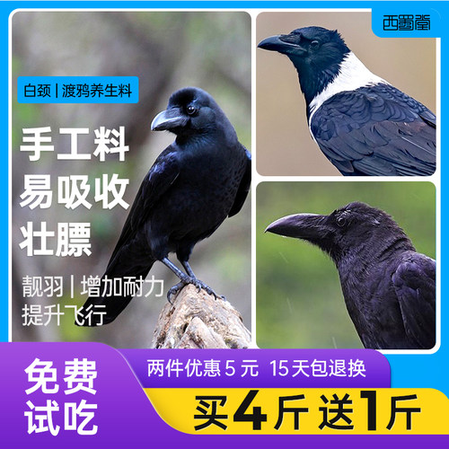 西蜀堂手工白颈渡鸦训练专用饲料