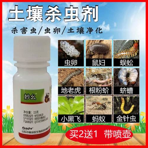 花土杀虫素材模板 花土杀虫图片下载 小麦优选