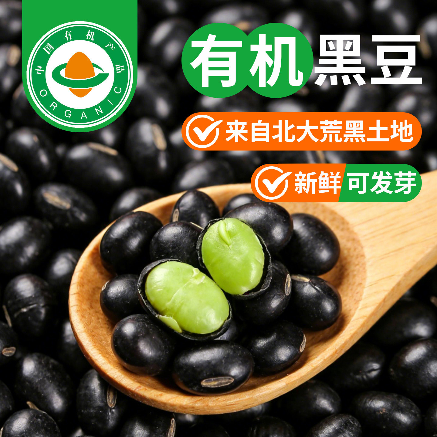 东北有机黑豆非转基因新鲜可发芽有机可溯源绿仁大颗粒肾形黑豆子