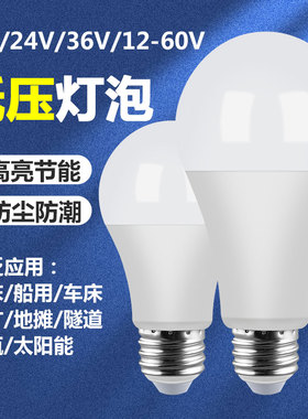 12V24V36V伏led低压灯泡E27螺口防水ADC交直流电瓶冷库机床节能灯