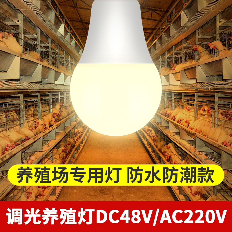 养殖专用照明灯泡DC48V伏可调光220V养鸡场防水家禽灯低压led直流 家装灯饰光源 LED球泡灯 原图主图