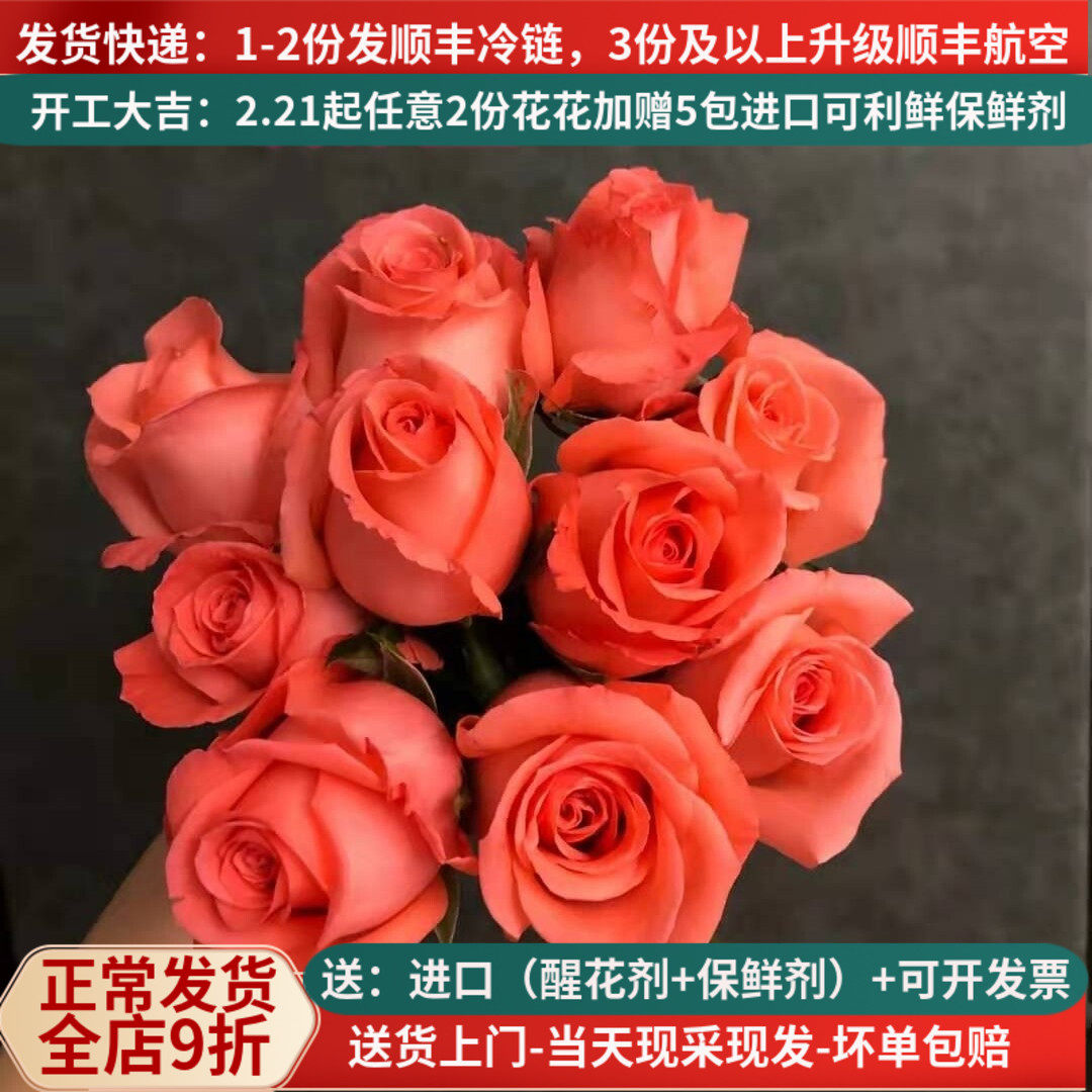 大花影星粉玫瑰花鲜切花云南昆明斗南鲜花基地直发直批家用室内水