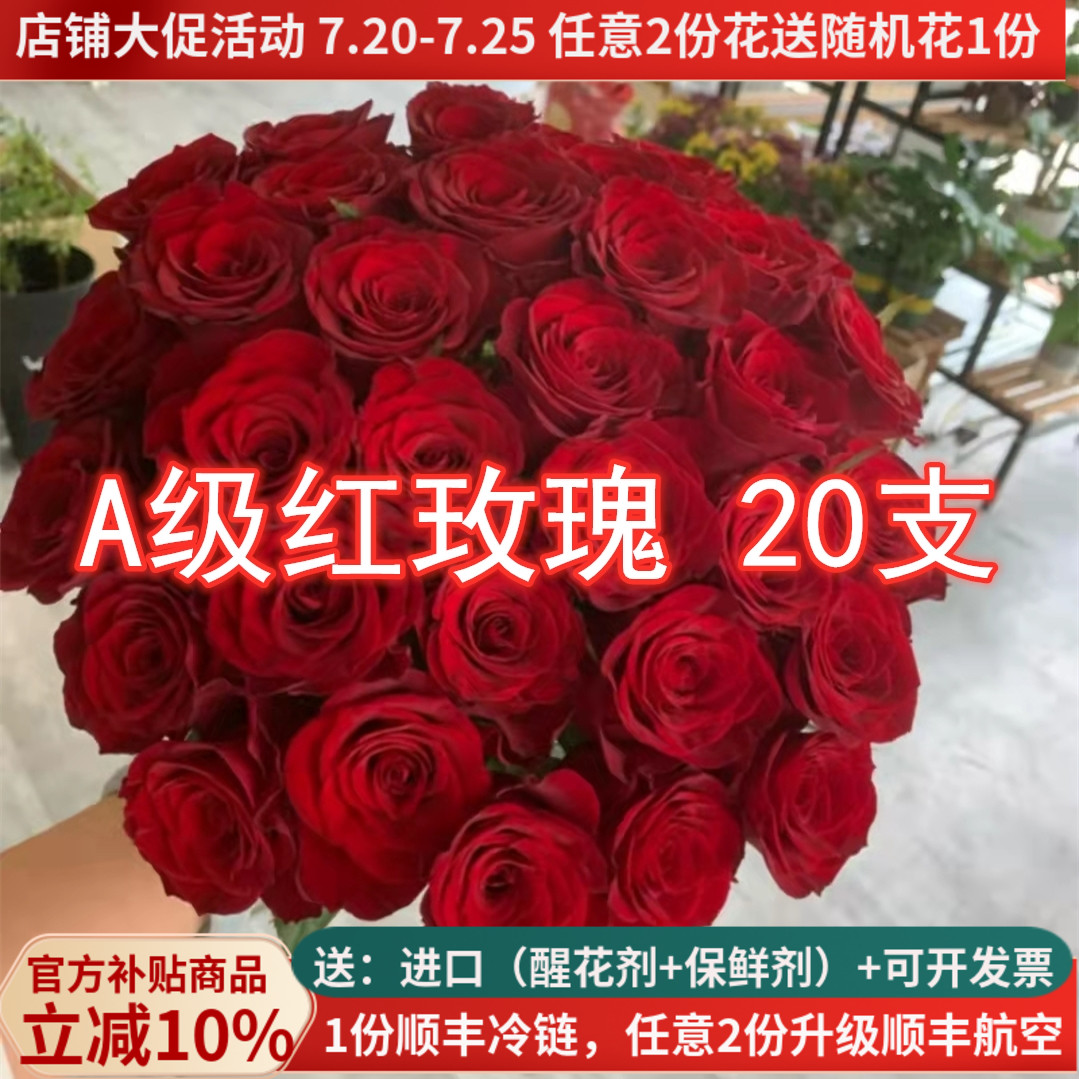 大花红玫瑰鲜花高原红传奇春节