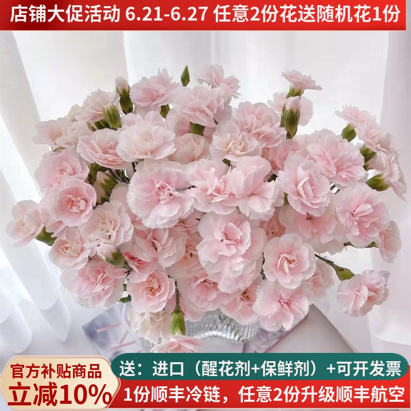 女神节多头康太子妃基地直发顺丰