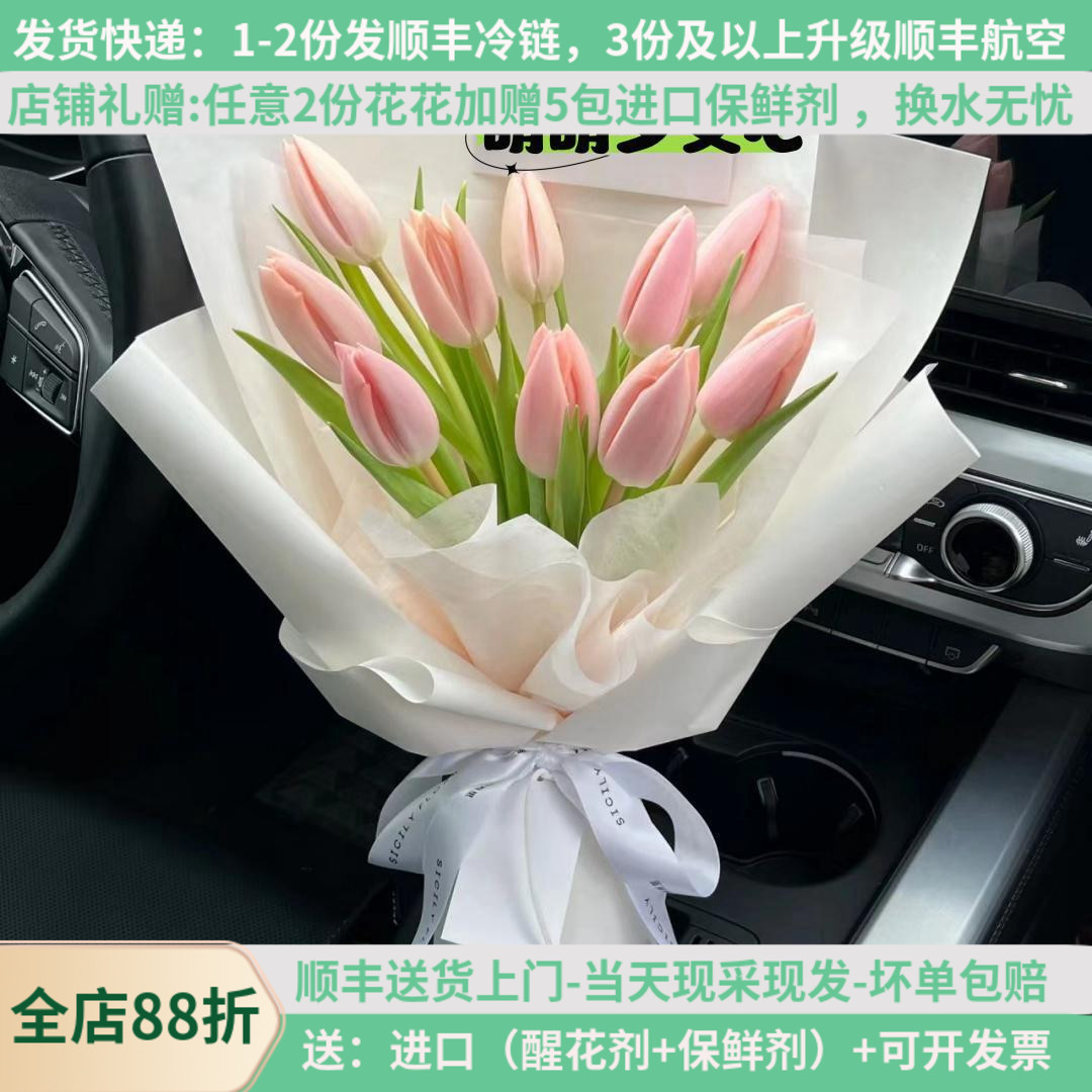 A级郁金香多色可选当天采摘基地