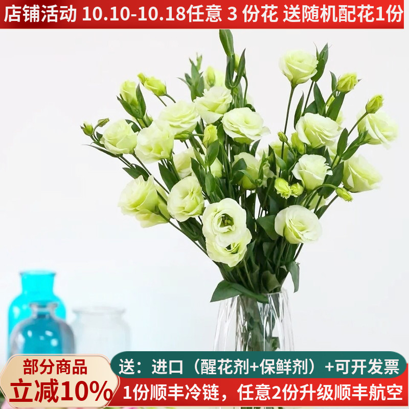 清新淡雅洋桔梗，西洋玫瑰花