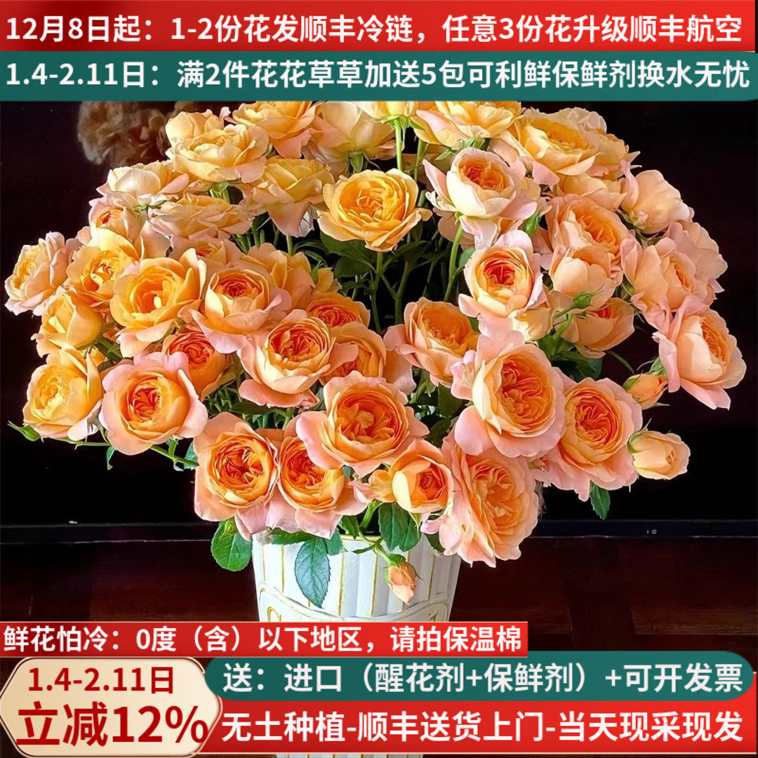 鲜切花多头玫瑰花果汁阳台泡泡云南基地直发家用水养插花束顺丰橙,鲜花速递/花卉仿真/绿植园艺,花材,淘宝优惠券,粉丝福利购,淘宝优惠卷