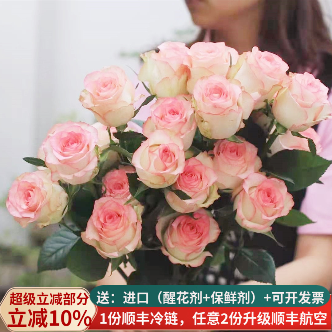 鲜花玫瑰A级爱莎云南基地直发