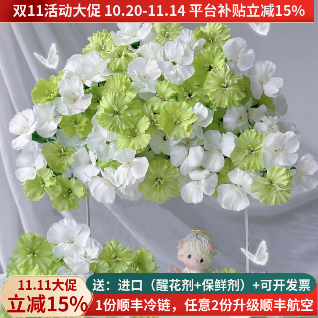 稀有多头康娑罗蜜儿多色可选