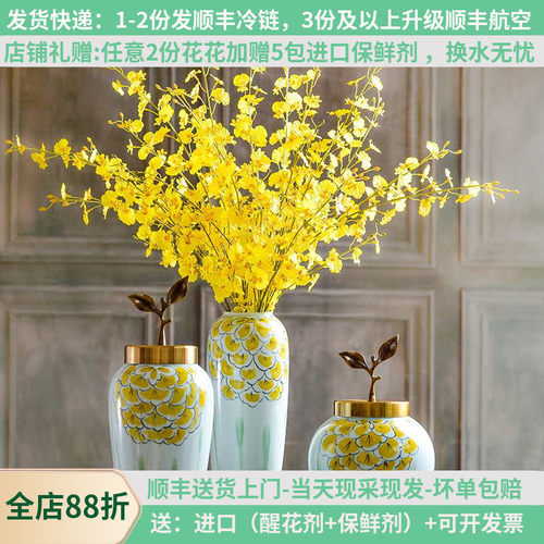 跳舞文心基地直发柠檬黄云南鲜花